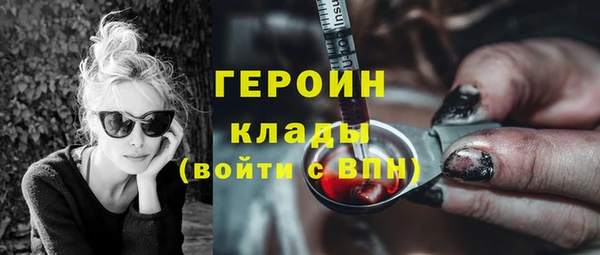 молекула духа Няндома