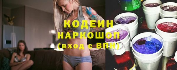 молекула духа Няндома