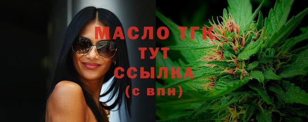 молекула духа Няндома