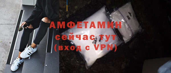 молекула духа Няндома