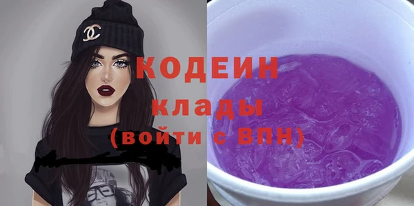 твердый Новодвинск