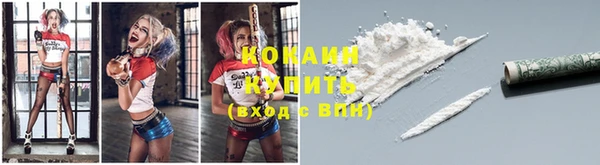 сатива Нягань