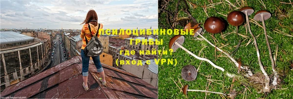 эйфоретик Нязепетровск