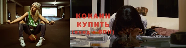 молекула духа Няндома