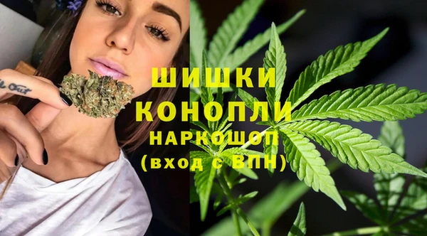 молекула духа Новозыбков