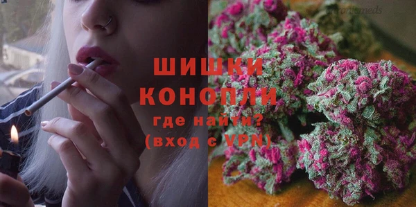 молекула духа Няндома