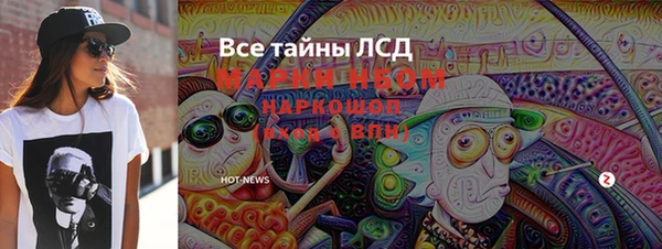 твердый Новодвинск