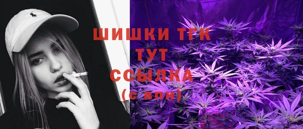 сатива Нягань