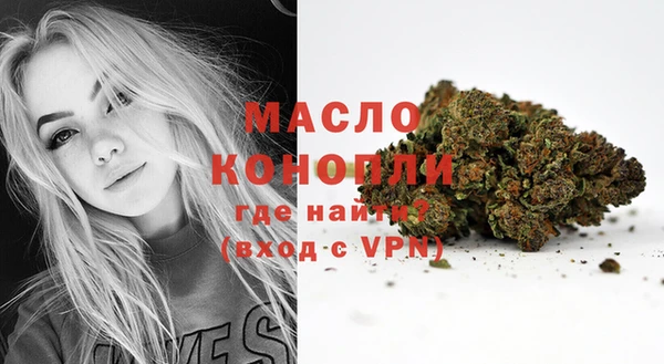 молекула духа Няндома