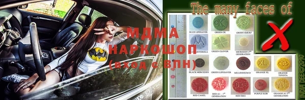 молекула духа Новозыбков