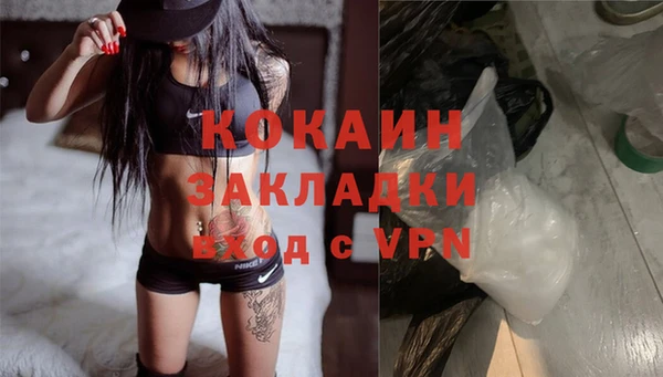 сатива Нягань