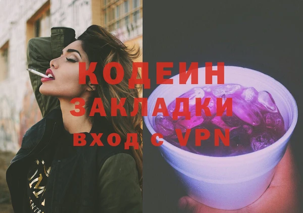 молекула духа Няндома